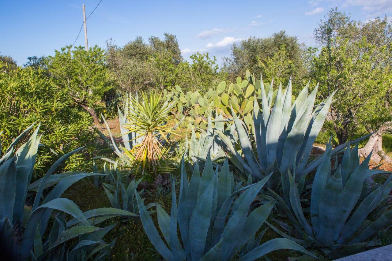 Dimora Il Fico D'India Villa Ostuni Bagian luar foto