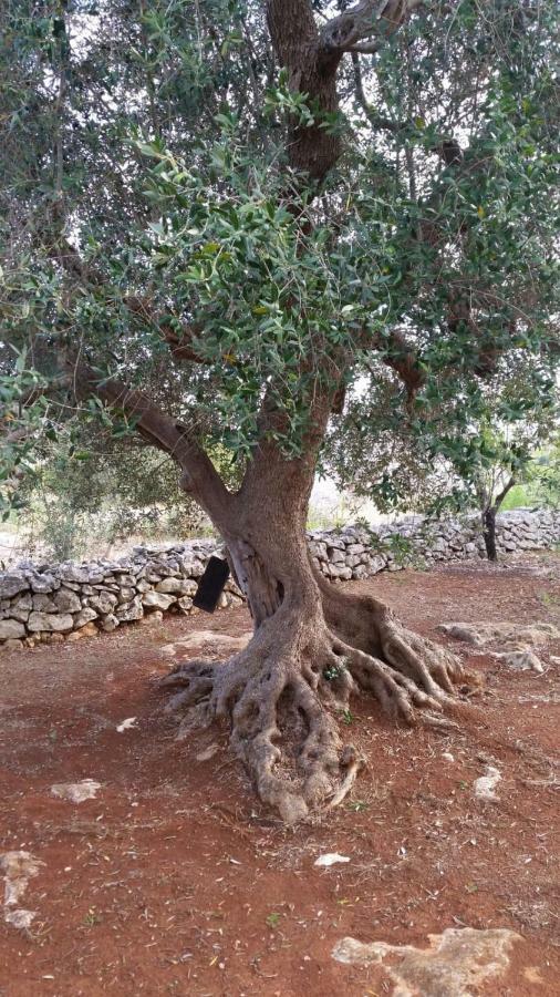 Dimora Il Fico D'India Villa Ostuni Bagian luar foto